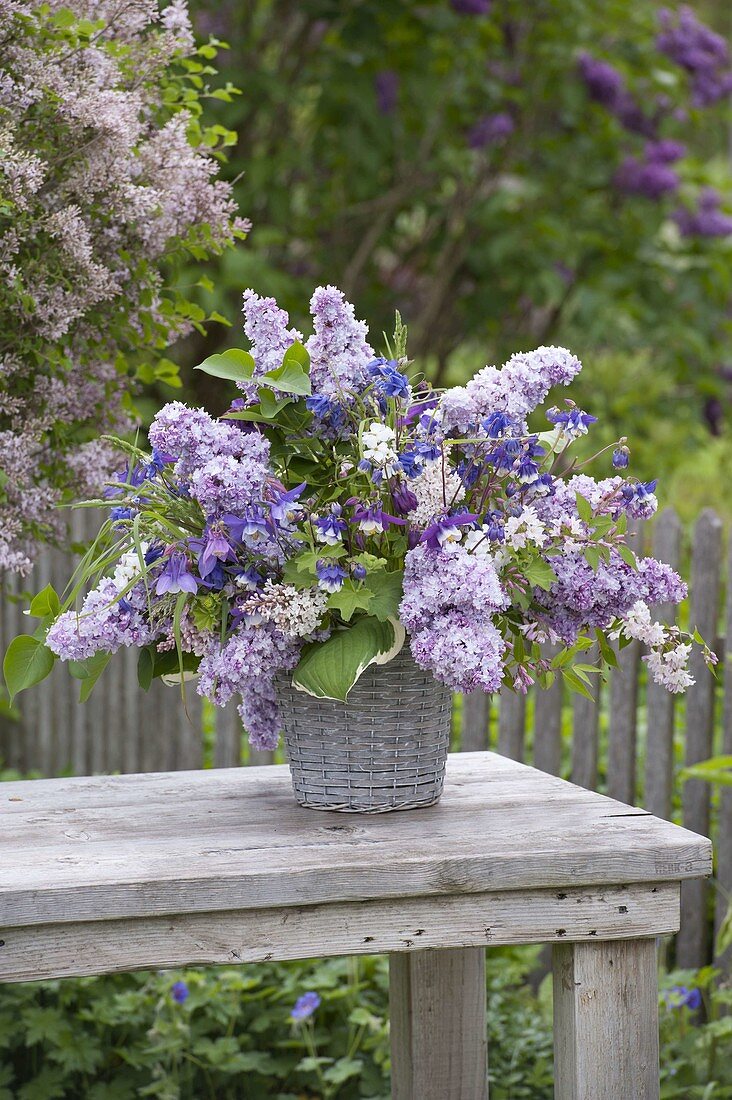 Lilac-blue scented bouquet of Syringa (lilac), Aquilegia (columbine), Deutzia