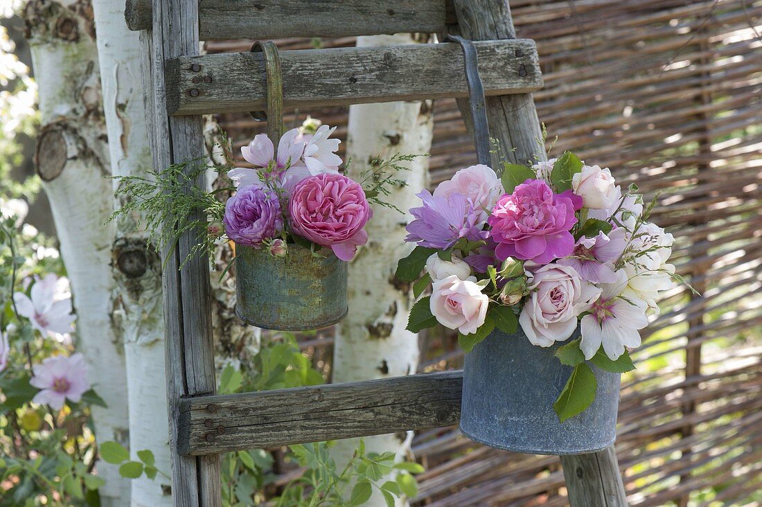 Small bouquets with Rosa (roses), Lavatera (mallows) and grasses