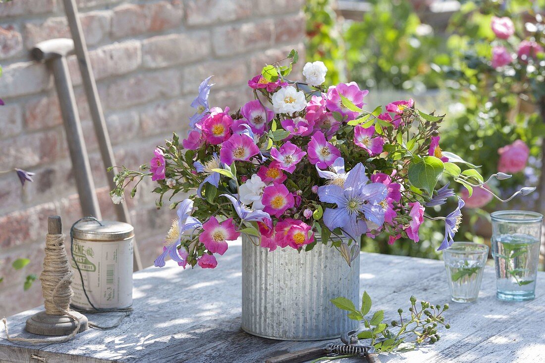 Bouquet of Rosa 'Mozart' 'Brautzauber' (roses) and Clematis 'Perle D'Azur' (clematis)