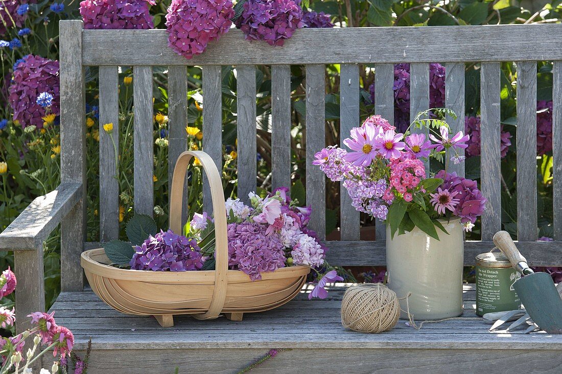 Basket with freshly cut flowers of Hydrangea (Hydrangea), Cosmos