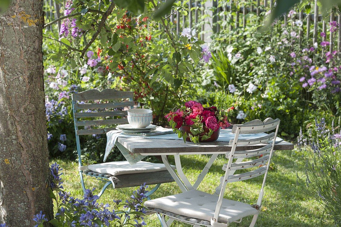 Cosy spot under the apple tree (Malus): table and two chairs