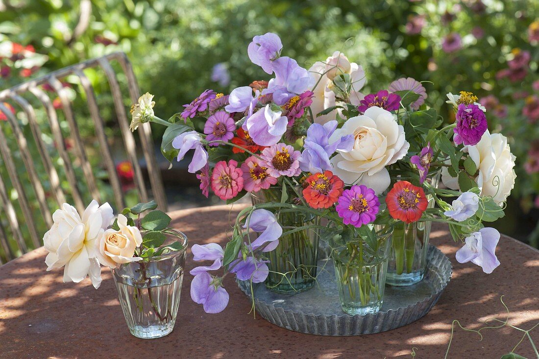 Sträusschen in kleinen Gläsern: Rosa (Rosen), Zinnia (Zinnien)