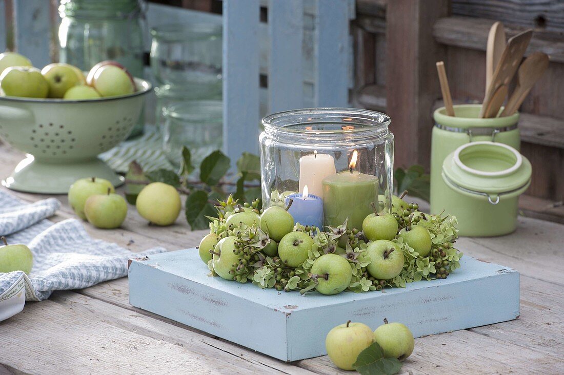 Grüner Kranz aus Äpfeln (Malus), Rosa (Hagebutten)