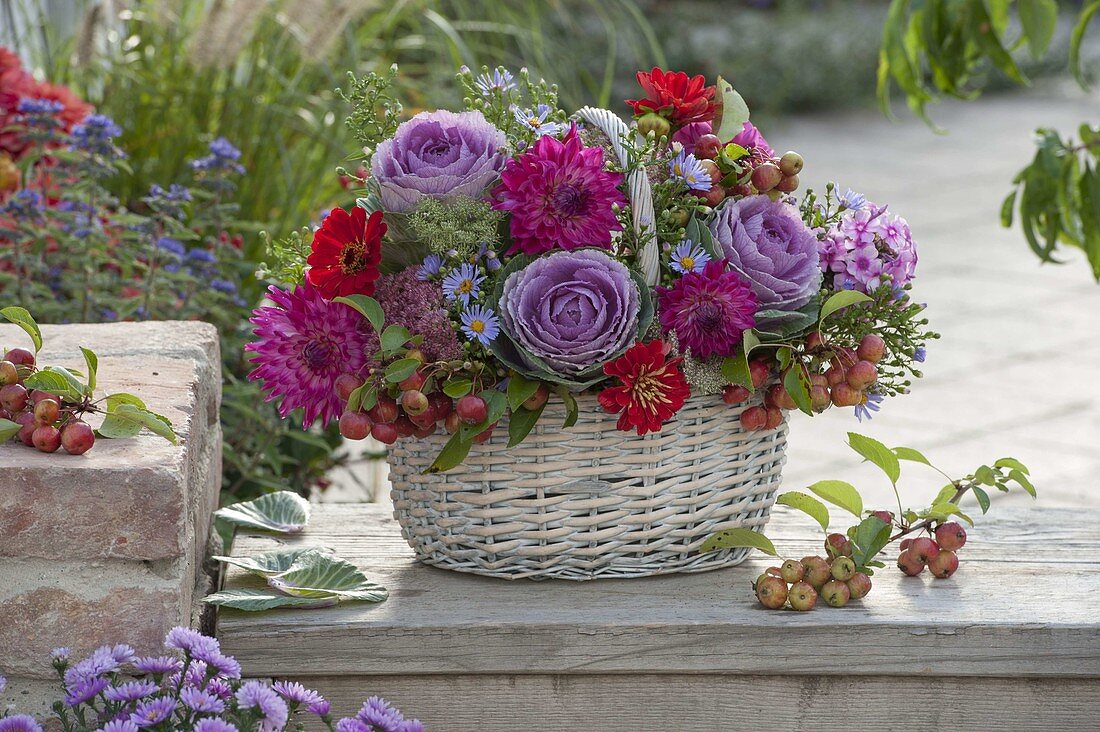 Arrangement in a basket with handles: Brassica (ornamental cabbage), Dahlia (dahlias), Zinnia