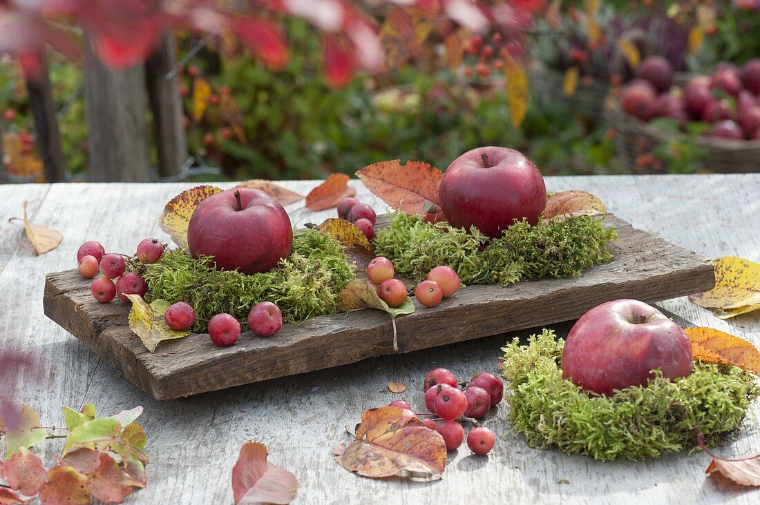 Apples and ornamental apples, small moss wreaths and colorful leaves