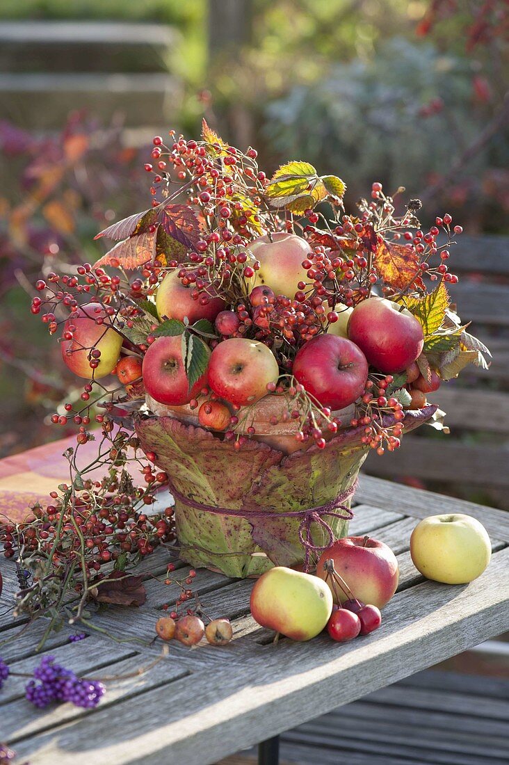 Herbstgesteck aus Äpfeln (Malus), Rosa (Hagebutten) und Rubus