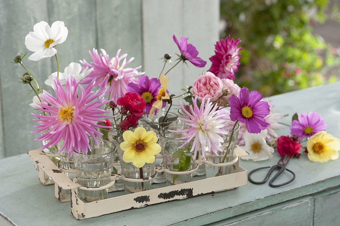 Single flowers in small glasses
