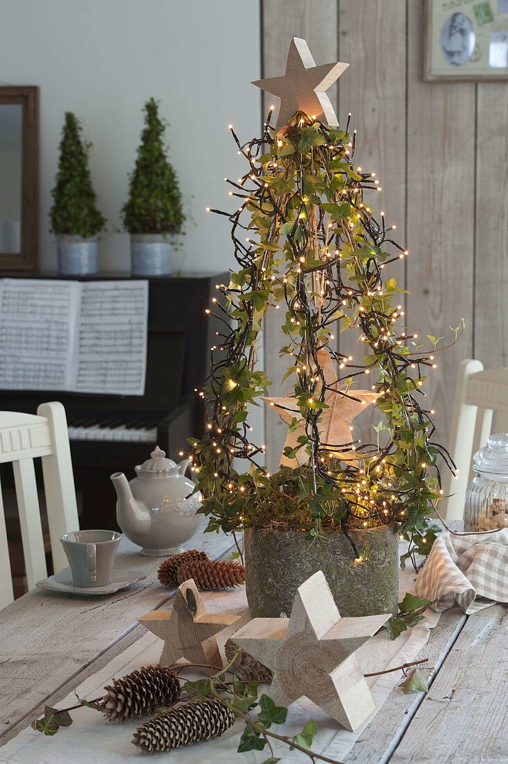 Stilisierter Tannenbaum aus Hedera (Efeu) an Gestell gezogen