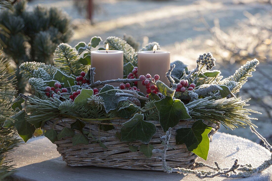 Wintery basket with branches of Abies, Pinus, Ilex