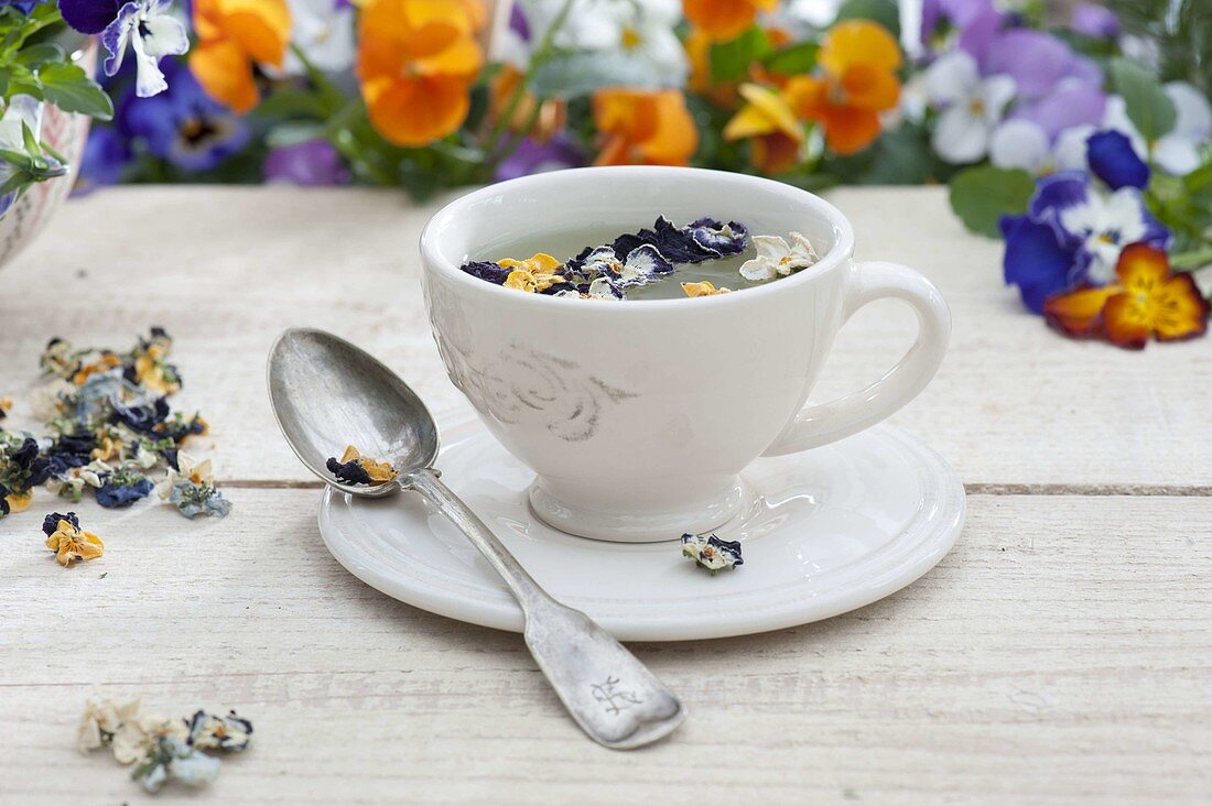 Viola - Blüten trocknen für Tee