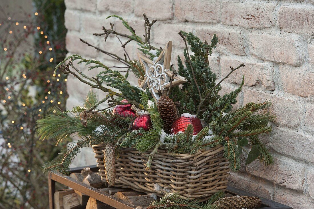 Christmas basket box with different conifer branches