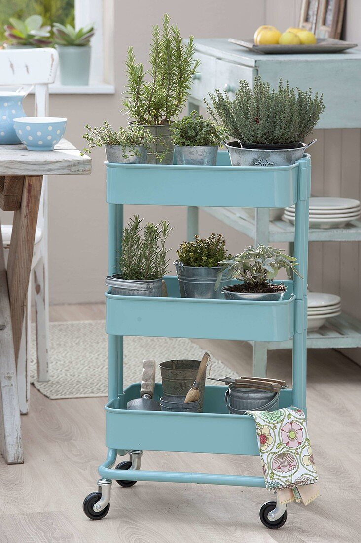 Light blue serving trolley with rosemary, thyme