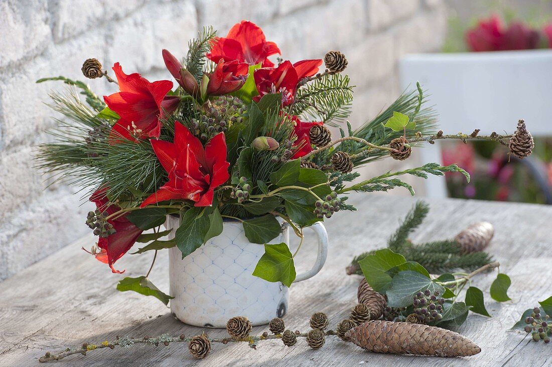 Winter bouquet with Hippeastrum (Amaryllis), Hedera (Ivy)