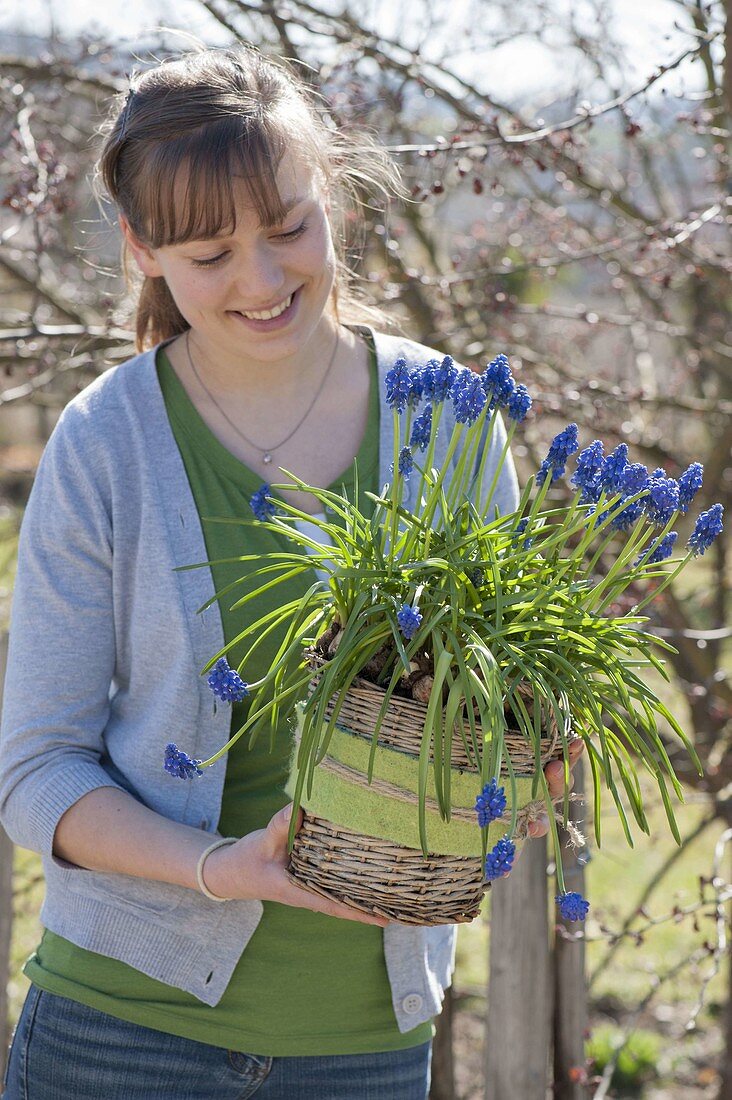 Frau mit Muscari siberica (Traubenhyazinthen) im Korb