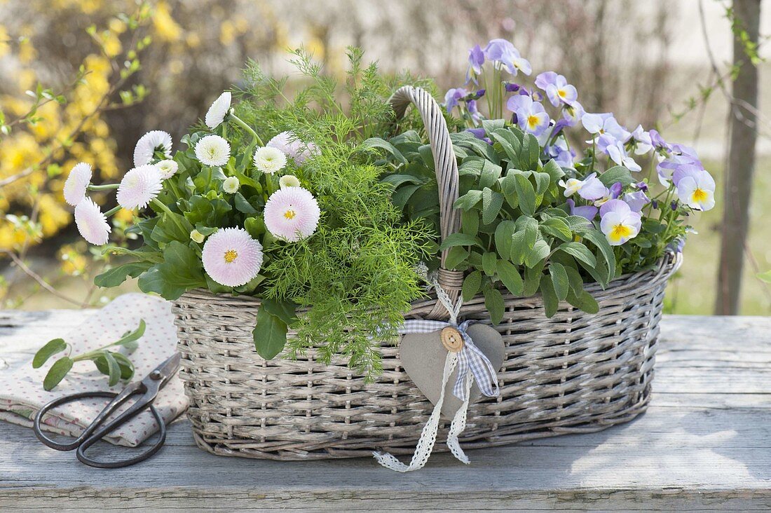 Gift basket with herbs and edible flowers