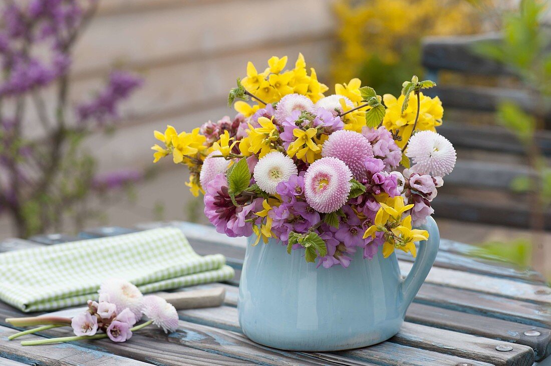 Small spring bouquet of Forsythia (gold bells), Bellis