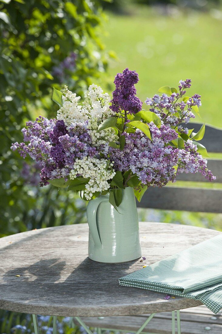Bouquet of Syringa vulgaris (lilac), mixed in white, light and dark purple