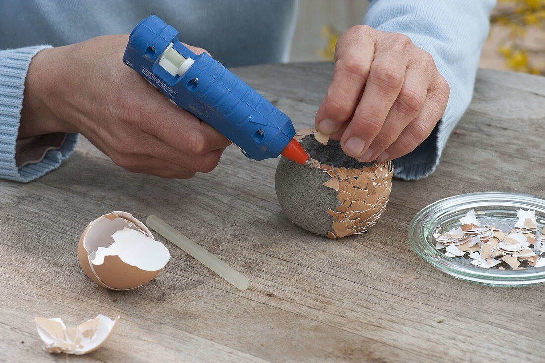 Eggcup made of dry bulk and egg shells