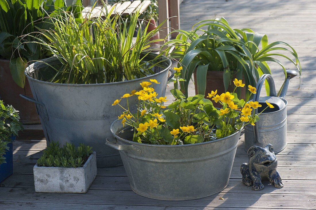 Alte Zink-Wannen als Mini-Teiche auf der Terrasse