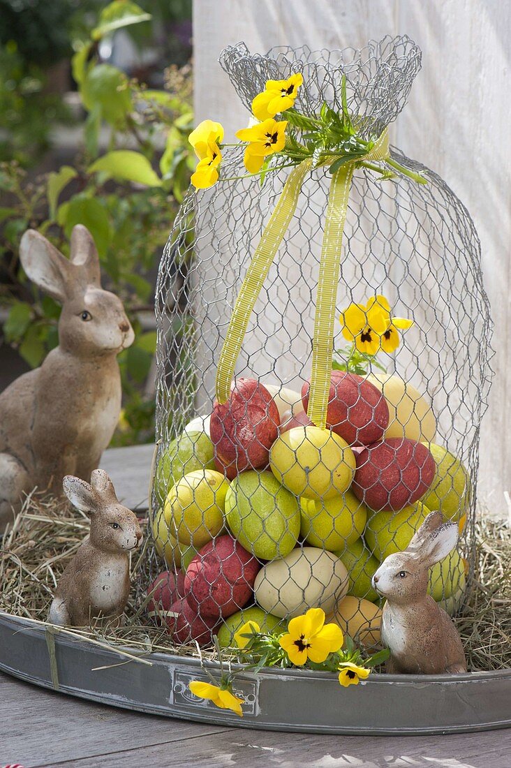 Colorful easter eggs under hood made of chicken wire with viola cornuta flowers