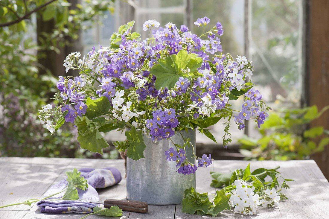 Violett-weisser Strauss mit Polemonium (Jakobsleiter), Hesperis (Nachtviolen