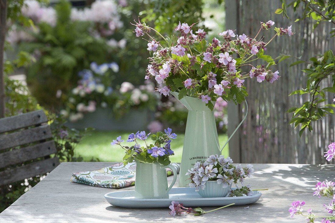 Straeusse aus Geranium (Storchschnabel) auf Gartentisch