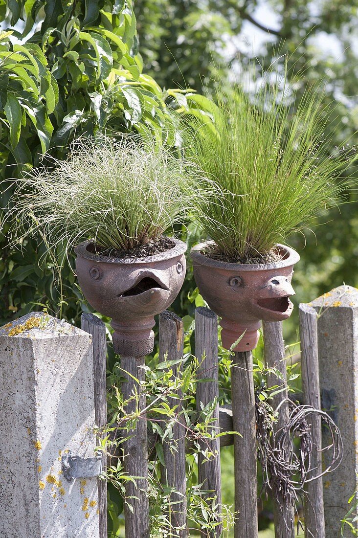 Handgetöpferte Keramik mit Vogelgesichtern auf Zaun , bepflanzt mit Festuca