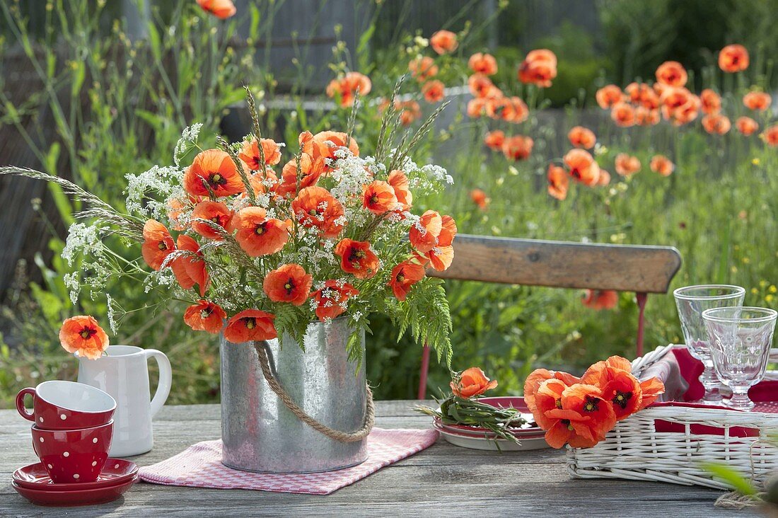 Meadow bouquet with Papaver rhoeas, Anthriscus
