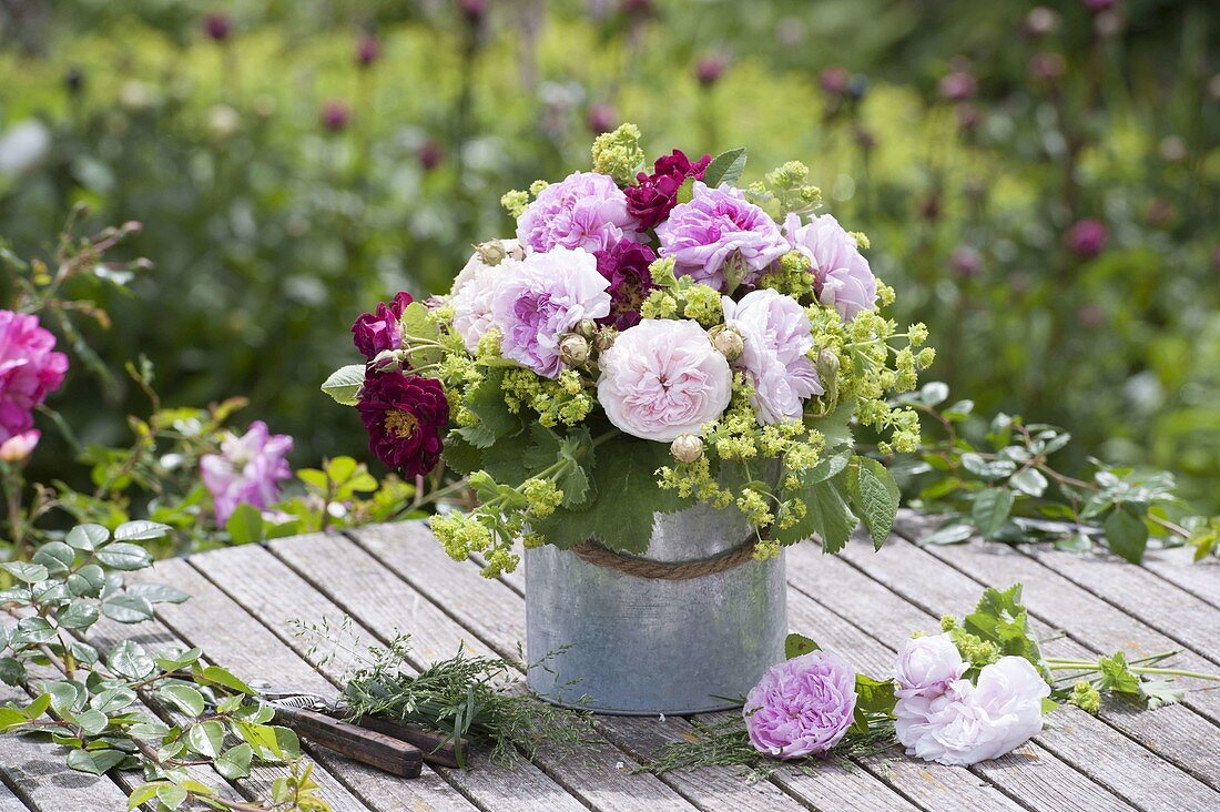 Small bouquet of Rose and alchemilla