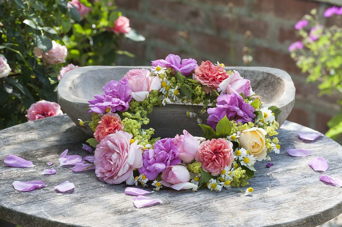 Wreath of different, fragrant flowers of Rosa, Alchemilla