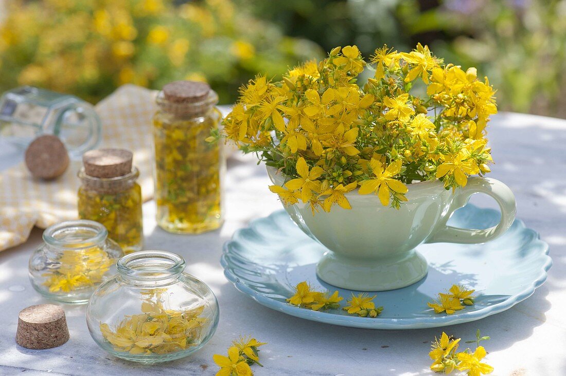 Small St. John's wort bouquet in cup