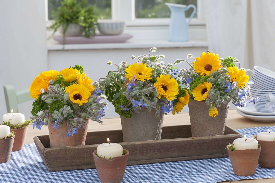 Kleine Straeusse aus Calendula (Ringelblumen), Borretsch (Borago) und