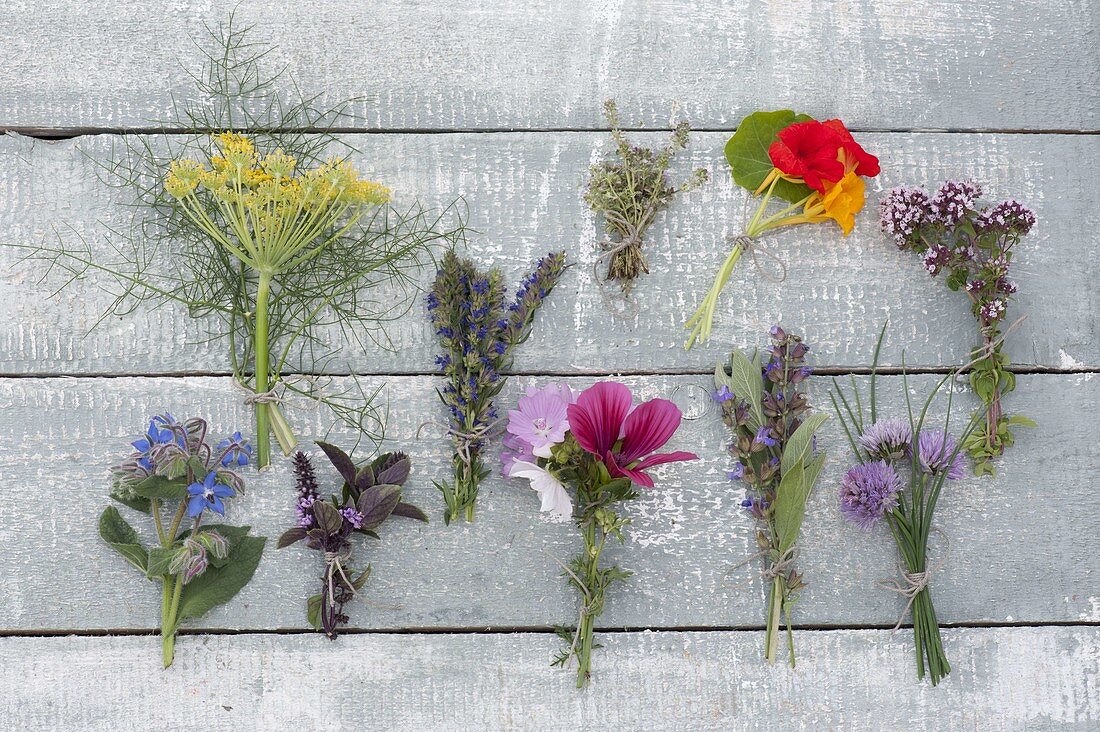 Tableau mit essbaren Blüten von Kräutern