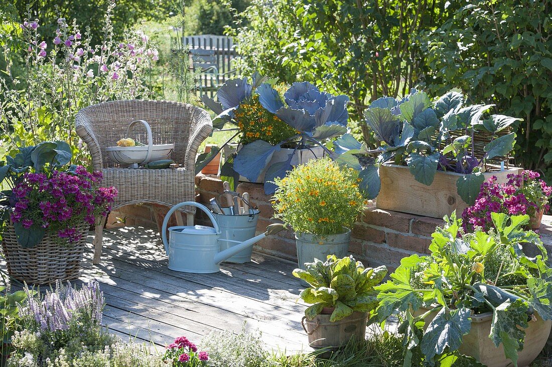 Vegetable Terrace