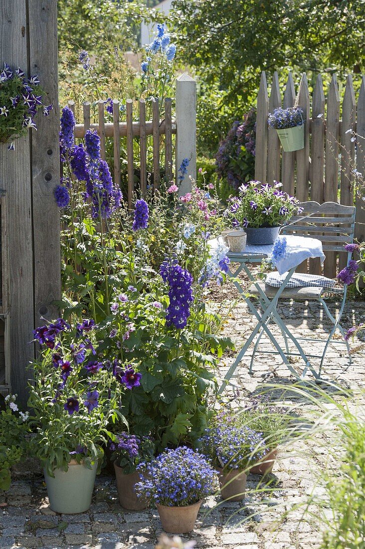 Blue-violet planted seating area on the tool shed