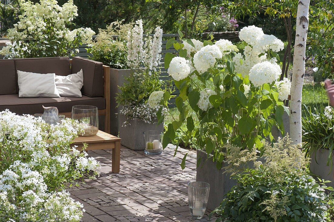 Mit Sonnensegel schattierte Terrasse mit weissen Pflanzen, Lounge-Ecke