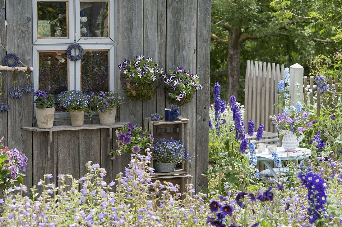Gartenhaus mit blauen Blumen