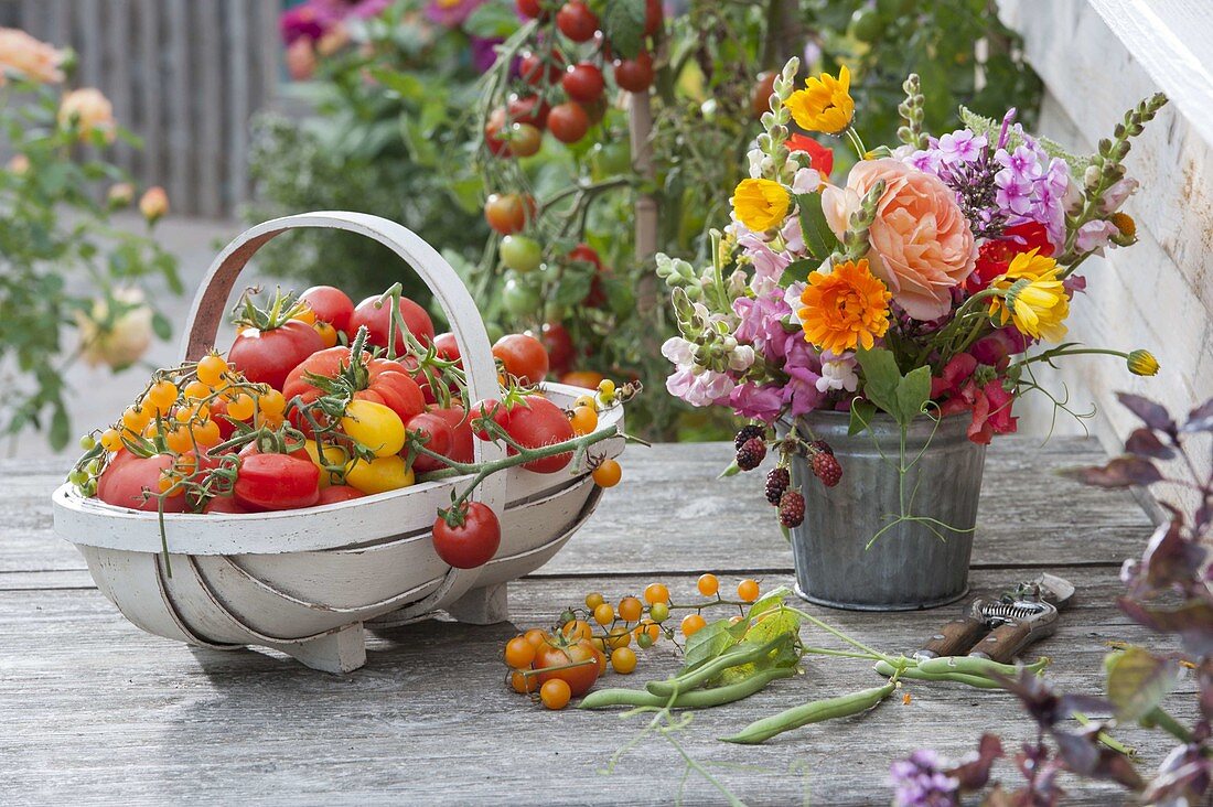 Woodchip basket with freshly picked tomatoes, small bouquet