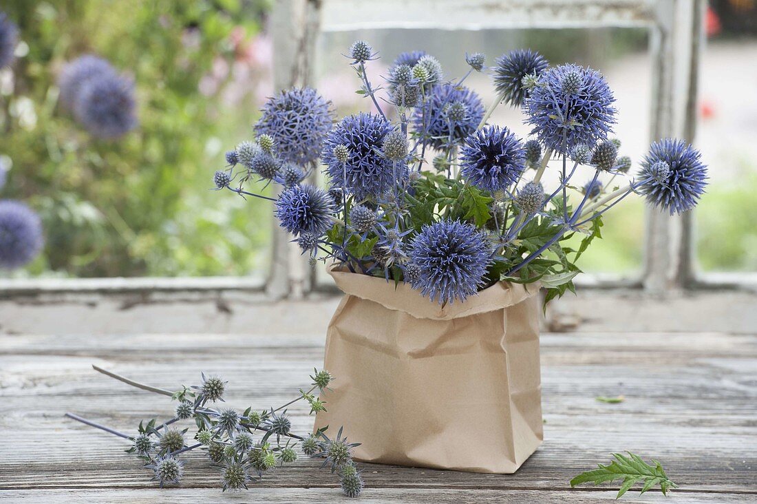 Small bouquet in paper bag, Echinops (Globe Thistle)