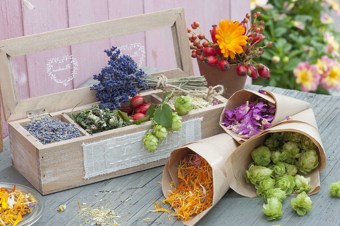 Kästchen mit getrockneten Blüten für Tee und Wellness