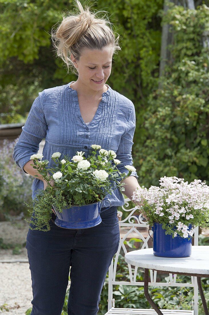 Frau bringt weiße Blumen in blauen Emaille - Toepfen