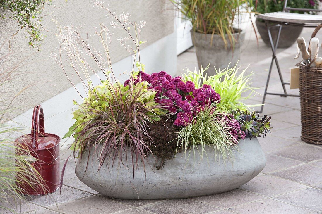 Gray bowl with perennials and grasses