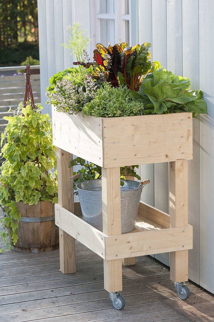 Rollbares Hochbeet auf Balkon selbst bauen und mit Gemüse bepflanzen