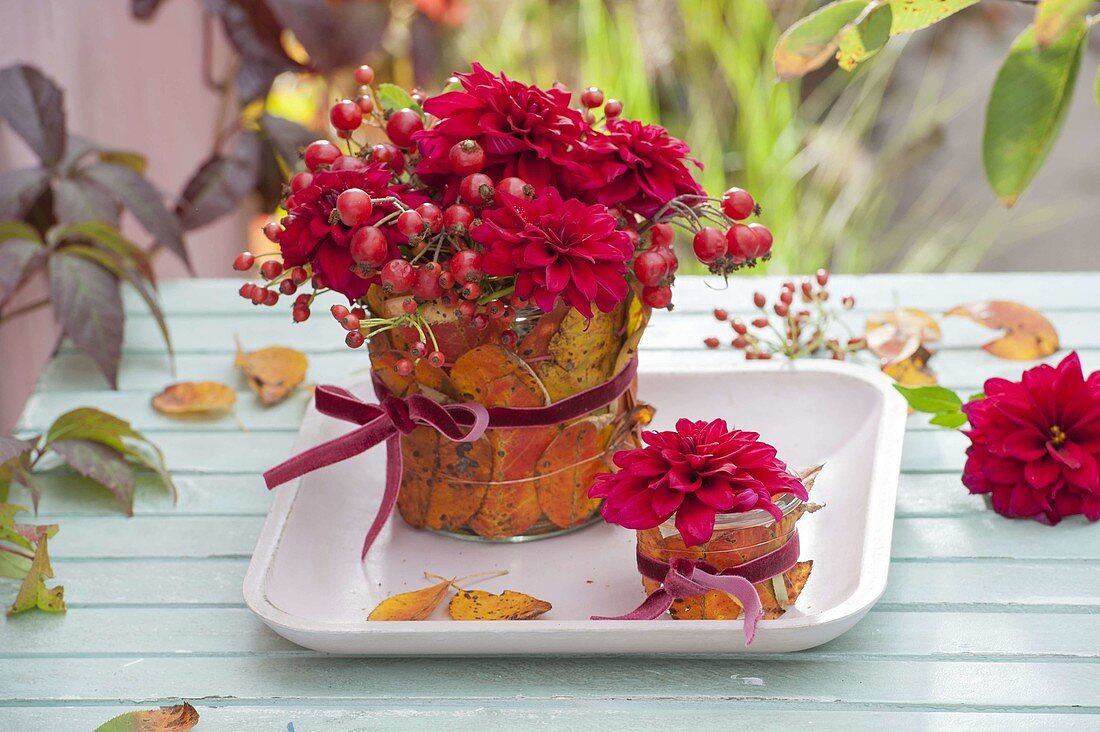 Roter Herbststrauss in Blätter-Vase : Dahlia (Dahlien) und Rosa