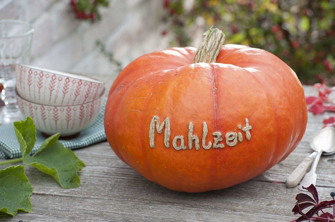 Pumpkin (cucurbita pepo) with message 'Mahlzeit' (meal) on the table
