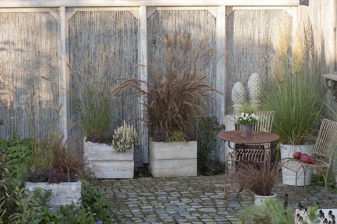 Autumnal grass terrace with privacy elements