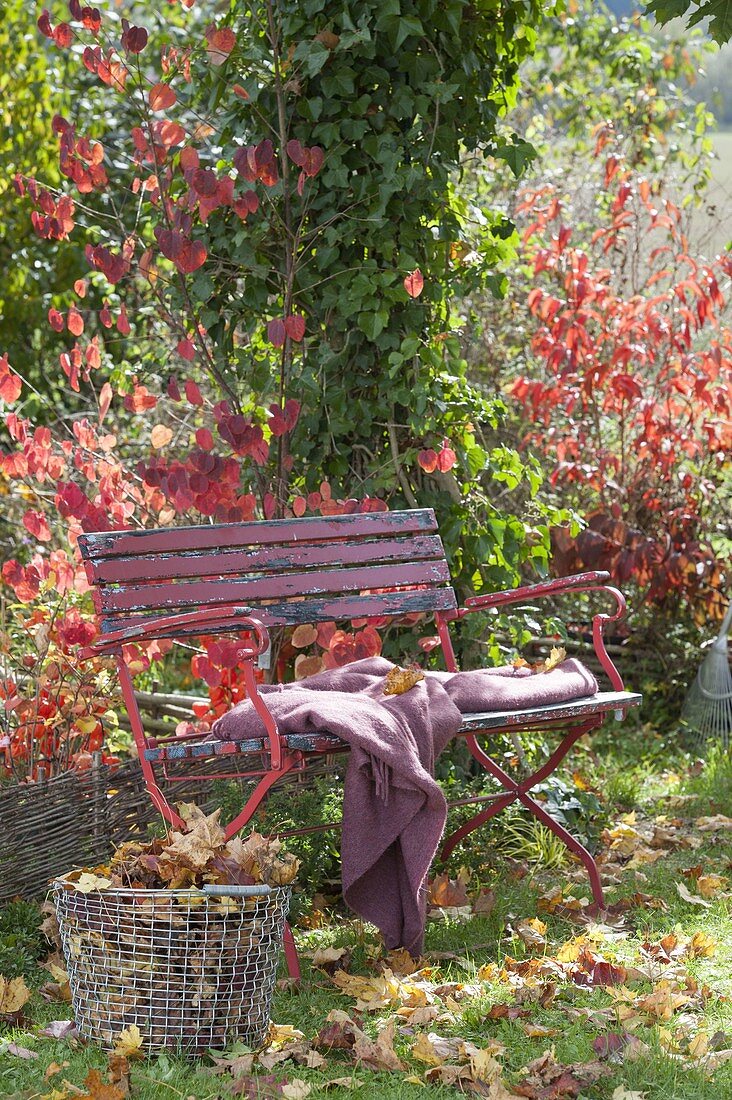 Rote Bank im herbstlichen Garten, Korb mit Herbstlaub