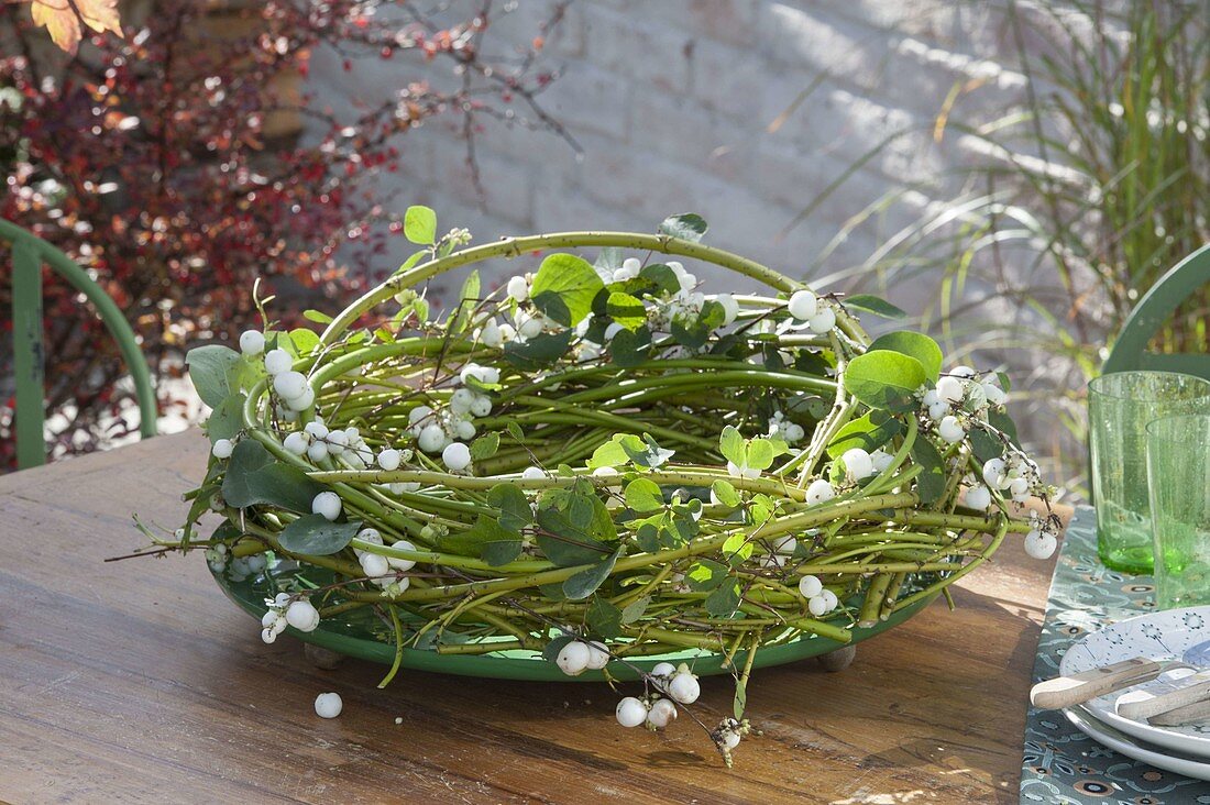 Bind autumn wreath out of green dogwood branches