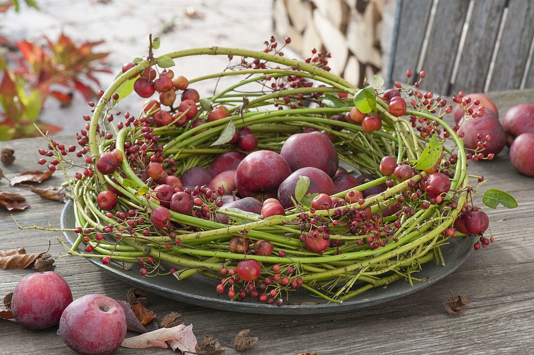 Wreath of cornus twigs filled with apples, ornamental apples