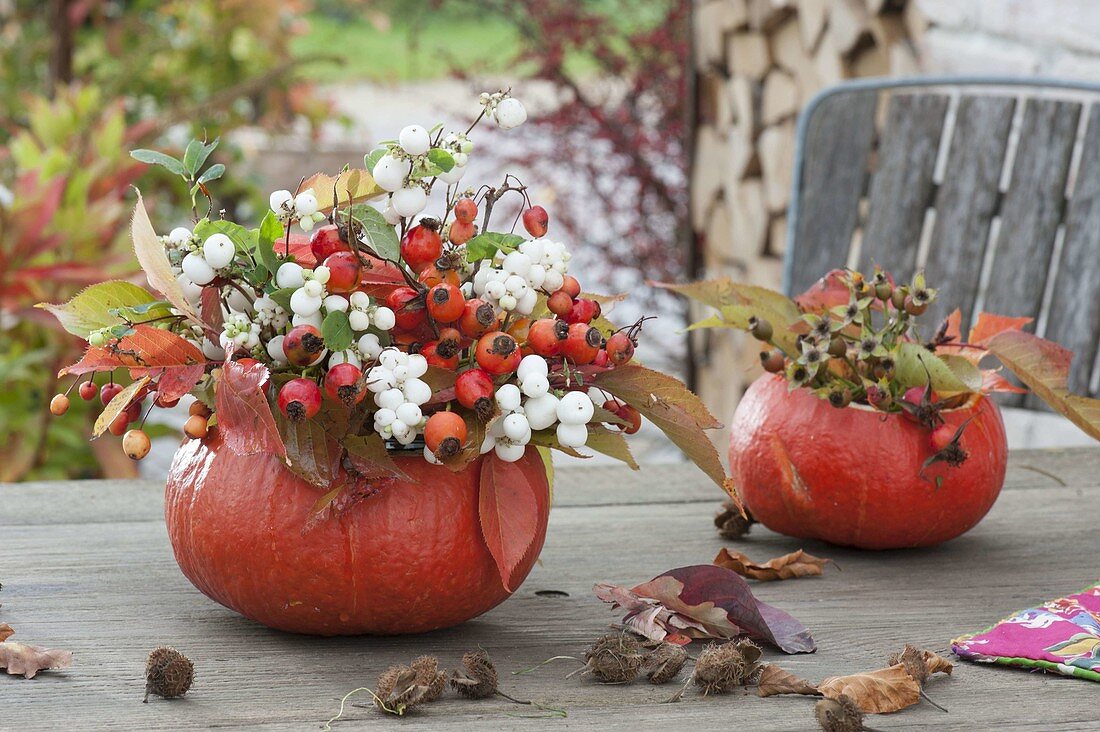 Pumpkin vases with branches of Rose, malus
